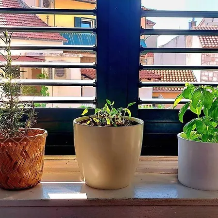 Apartman Ora, On The Sea. *