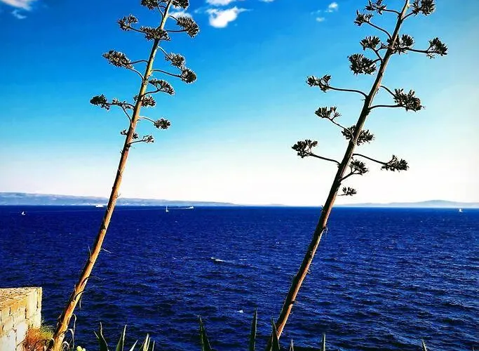 Ora, On The Sea. * Split