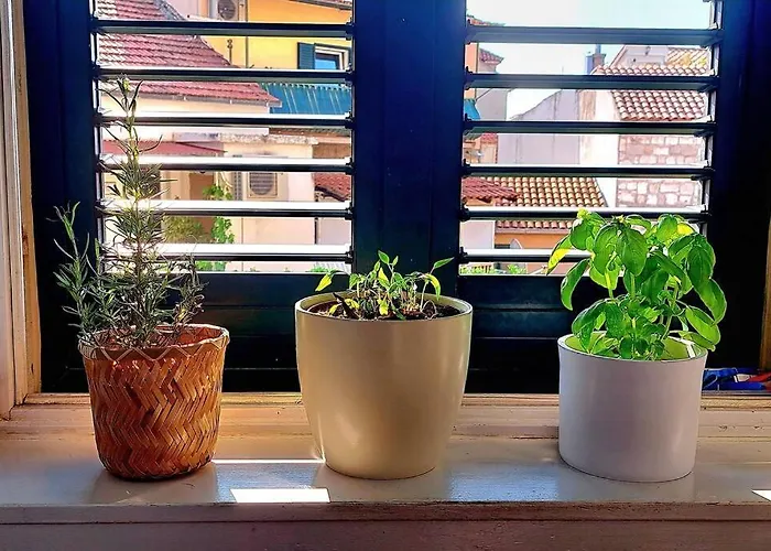 Apartment Ora, On The Sea. *