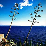 Ora, On The Sea. * Split