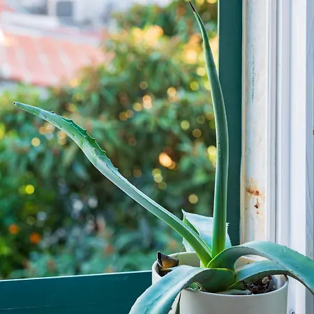 Appartement Ora, On The Sea.